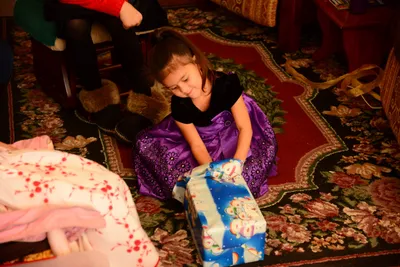 DSC_0894 (Large).JPG